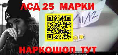 стафф Гай