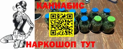 стафф Гай