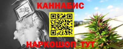 стафф Гай
