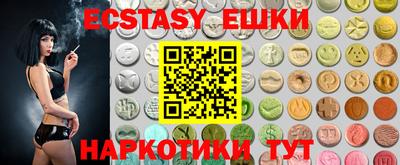 стафф Гай