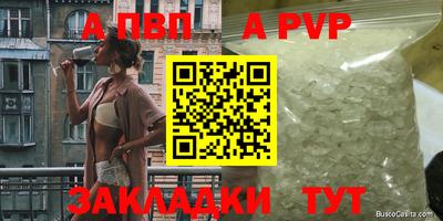 стафф Гай