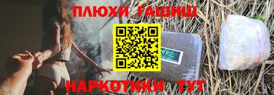 стафф Гай