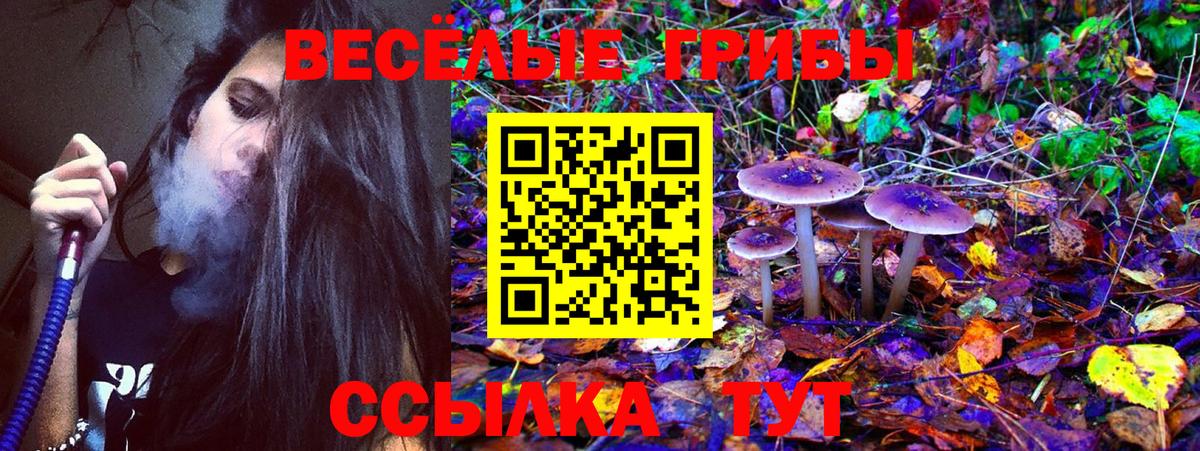 Псилоцибиновые грибы прущие грибы  Вход с VPN  Кисловодск 